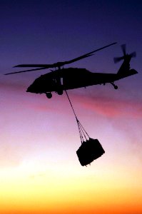 US Navy 100114-N-3038W-132 An MH-60S Sea Hawk helicopter assigned to the Wildcards of Helicopter Sea Combat Squadron (HSC) 23