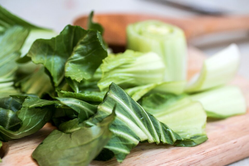 Healthy grow pok choy