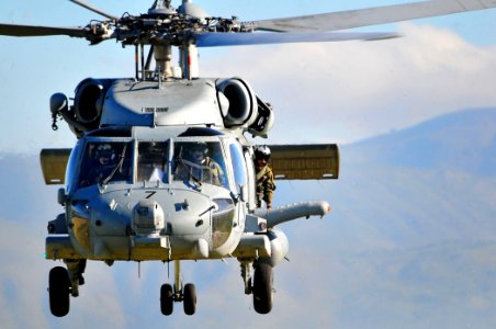 US Navy 100116-N-4774B-343 A SH-60F Seahawk helicopter assigned to the