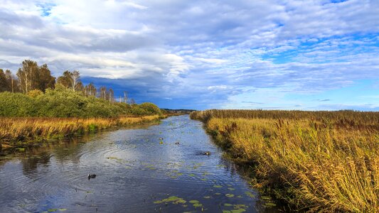 Nature reserve clouds autumn