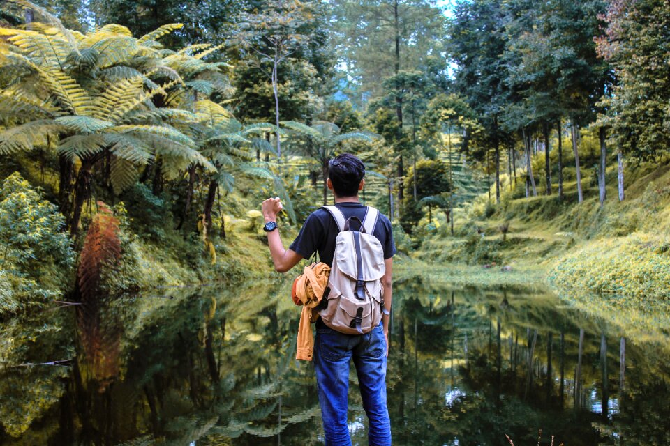 Outdoor alone green