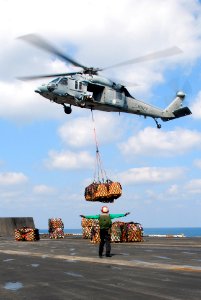 US Navy 100124-N-3589B-031 An MH-60S Sea Hawk helicopter assigned to the Wild Cards of Helicopter Sea Combat Squadron (HSC) 23, delivers supplies to the aircraft carrier USS Nimitz (CVN 68)