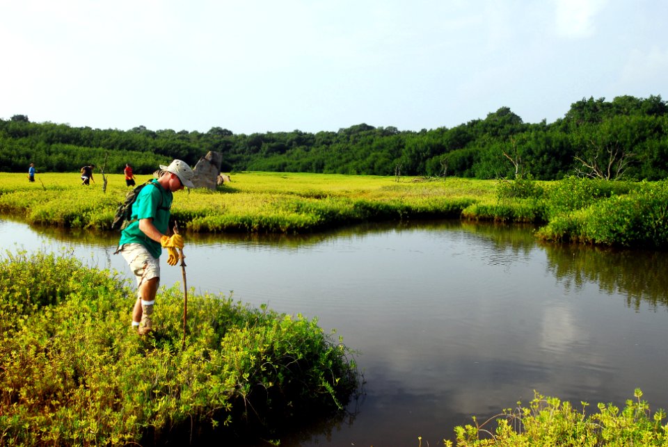 US Navy 100123-N-0995C-036 Master-at-Arms 2nd Class Vincent Ingellis treks through the Pouhala Marsh during a restoration project