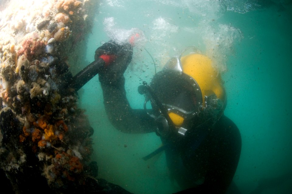 US Navy 100125-N-1134L-140 Navy Diver 1st Class John Neal, assigned to Mobile Diving and Salvage Unit (MDSU) 2, inspect a damaged pier