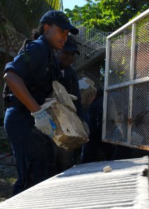 US Navy 100129-N-1092P-064 Machinist Mate Fireman Shirleah Milon tosses chunks of rubble from fallen buildings into a truck bed in Grand-Goave, Haiti