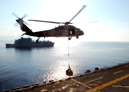 US Navy 100205-N-1092P-035 An MH-60S Sea Hawk helicopter delivers cargo
