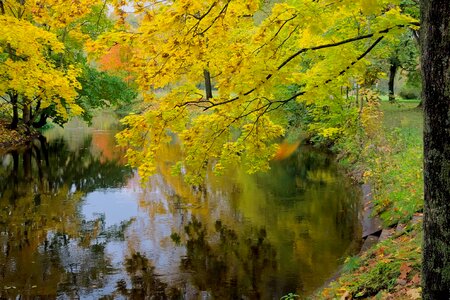 Autumn water river photo