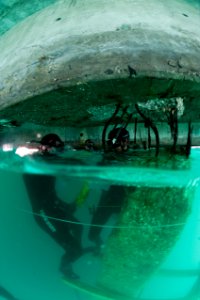 US Navy 100206-N-1134L-170 Divers drill guide holes into a damaged section of a pier at the port in Port-au-Prince, Haiti photo