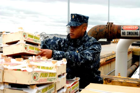 US Navy 100218-N-3358S-078 Chief Hospital Corpsman Jolando Lightner inspects fruit before the crew moves pallets of frozen food, fresh produce and other supplies aboard USS Mesa Verde (LPD 19)