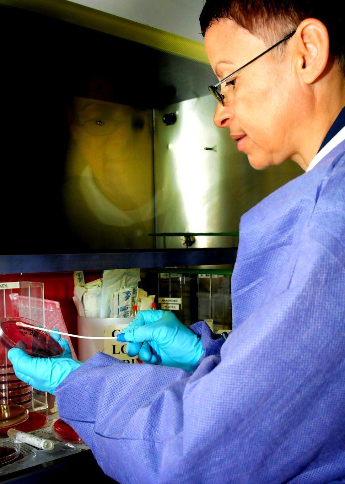 US Navy 100220-N-4378P-019 Hospital Corpsman 2nd Class Rosie Lopez, from Humacao, Puerto Rico, tests a urine sample for bacteria aboard the Military Sealift Command hospital ship USNS Comfort (T-AH 20)