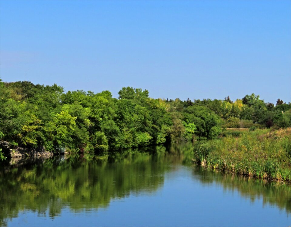 River creek nature