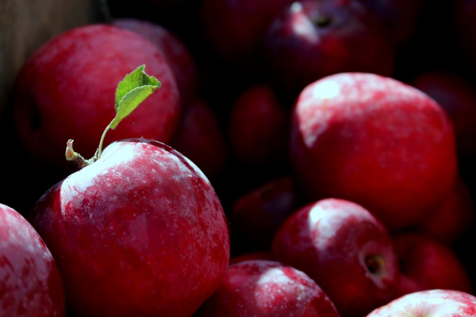 Healthy red apple juicy