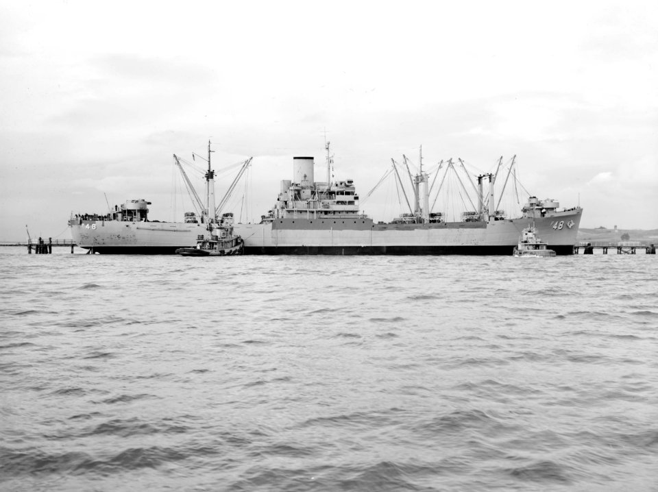 USS Alstede (AF-48) off the Mare Island Naval Shipyard, California (USA), in November 1953 (6928364)