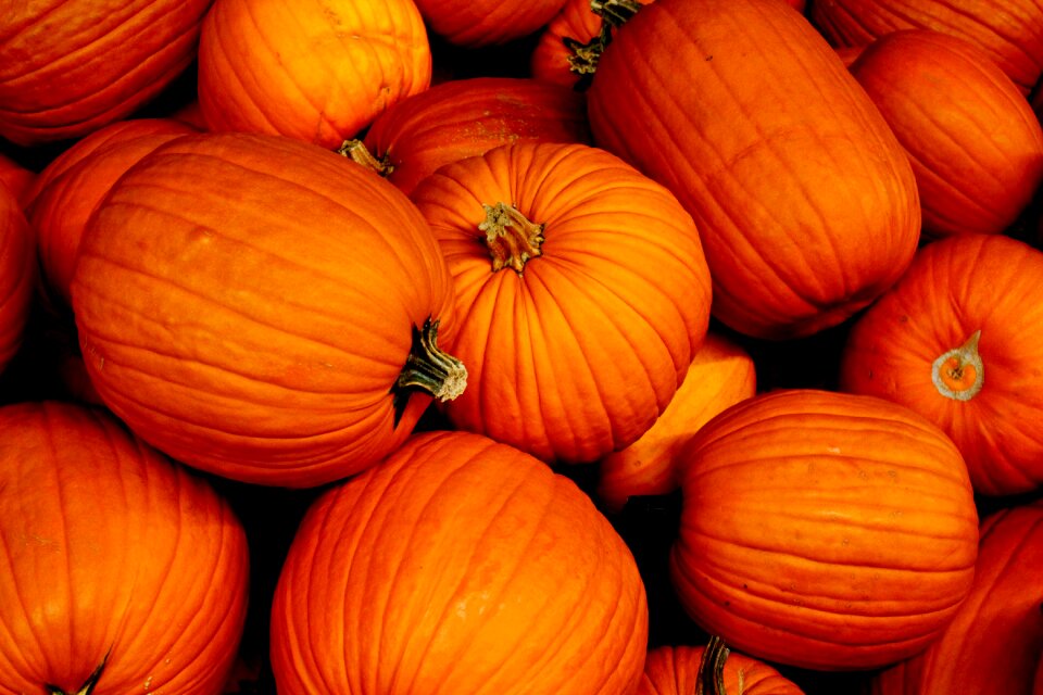 Orange october stem