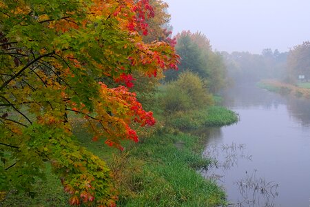 Poland nature morning mist photo