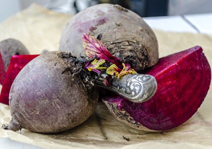 Beet root vegetable red