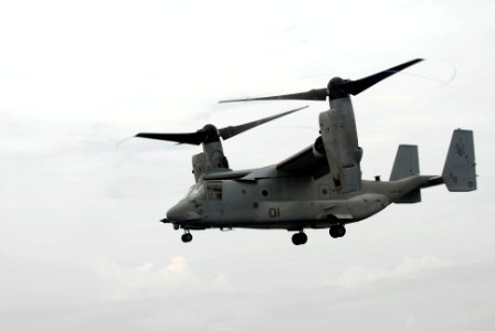 US Navy 100305-N-3358S-412 An MV-22B Osprey assigned to the Golden Eagles of Marine Medium Tiltrotor Squadron (VMM) 162 takes off from the amphibious transport dock ship USS Mesa Verde (LPD 19)