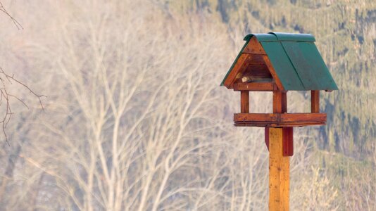 Wood nature aviary