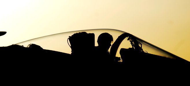 US Navy 100319-N-6538W-281 Capt. Jacob Schwinghammer, from Tampa, Fla., sits in the cockpit of an F-A-18C Hornet from the Raiders of Strike Fighter Squadron (VFA) 125 prior to flight operations