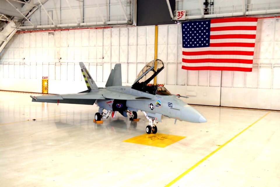 US Navy 100330-N-9565D-078 An F-A-18 Super Hornet from Air Test and Evaluation Squadron (VX) 23 with green markings and the U.S. Department of the Navy Energy Security logo