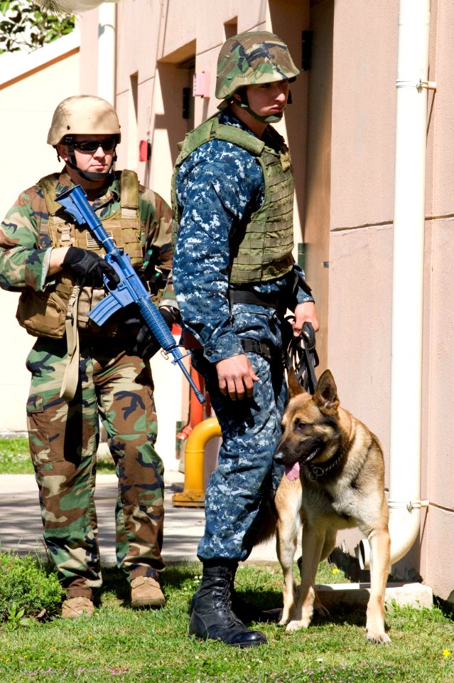 US Navy 100420-N-9552I-045 Members of Security and Explosive Ordnance Disposal Mobile Unit (EODMU) 8 approach a possible improvised explosive device (IED) at Sigonella High School