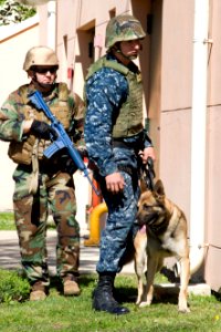 US Navy 100420-N-9552I-045 Members of Security and Explosive Ordnance Disposal Mobile Unit (EODMU) 8 approach a possible improvised explosive device (IED) at Sigonella High School photo