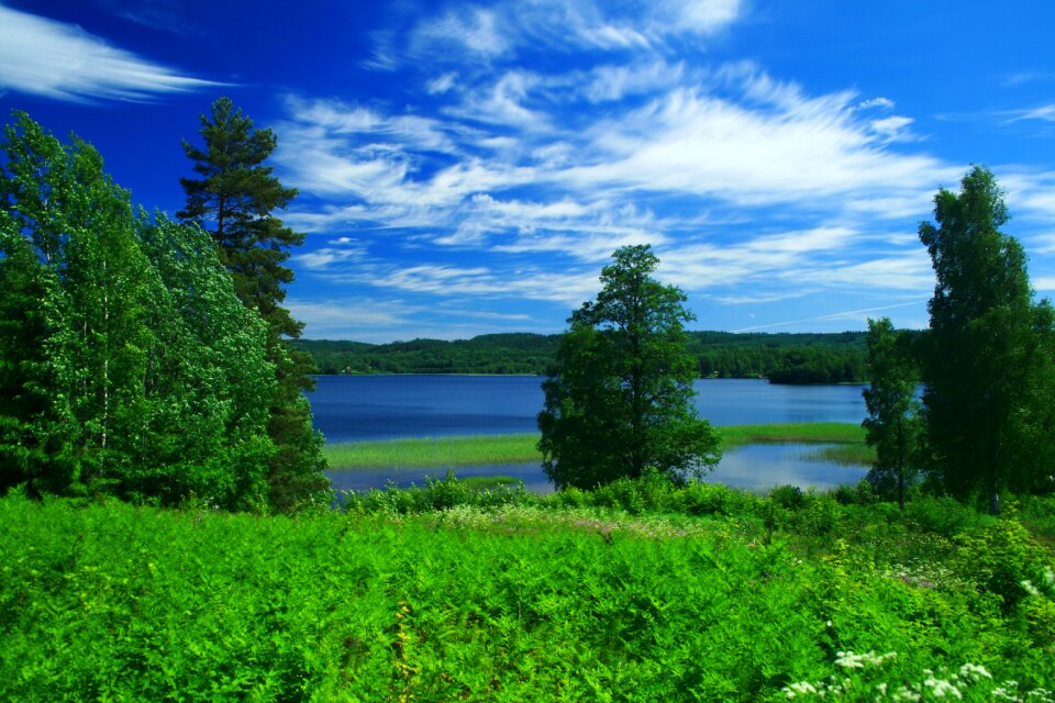 Sweden nature landscape