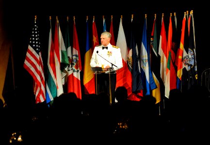 US Navy 100520-N-8273J-136 Chief of Naval Operations (CNO) Adm. Gary Roughead delivers remarks at the Project Hope Spring Gala in Washington, D.C photo