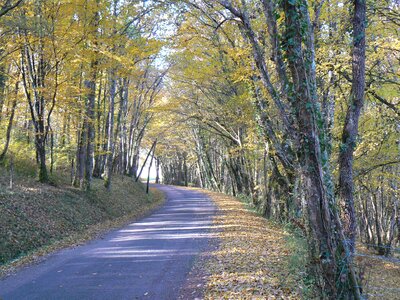 Fall road path photo