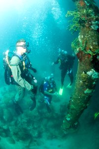 US Navy 100607-N-1134L-167 Hospital Corpsman 1st Class Michael Faasen, assigned to Mobile Diving and Salvage Unit (MDSU) 2, and Regional Security System divers swim the length of a pier piling during a pier inspection off the c
