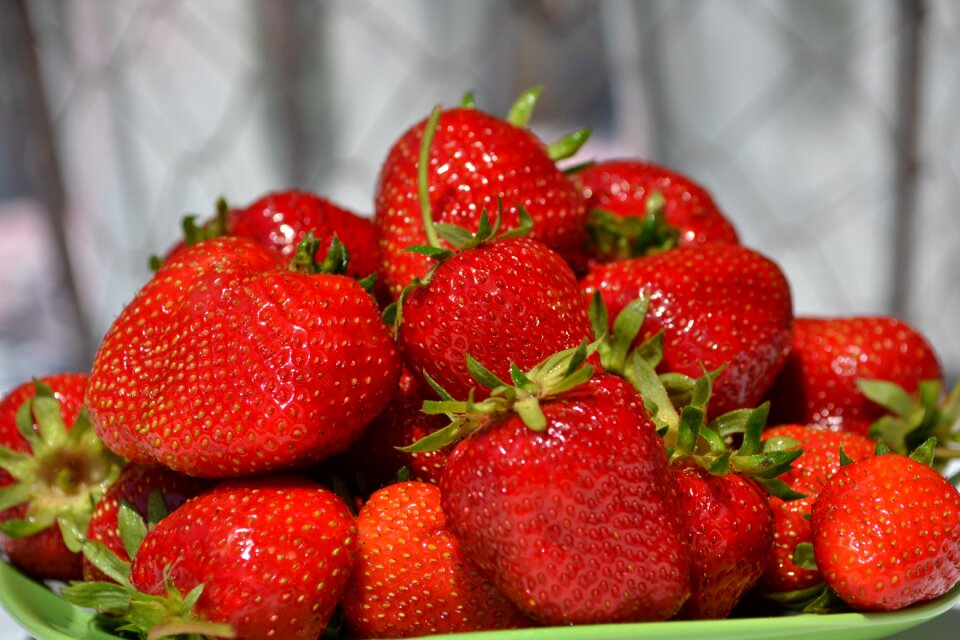 Red summer health