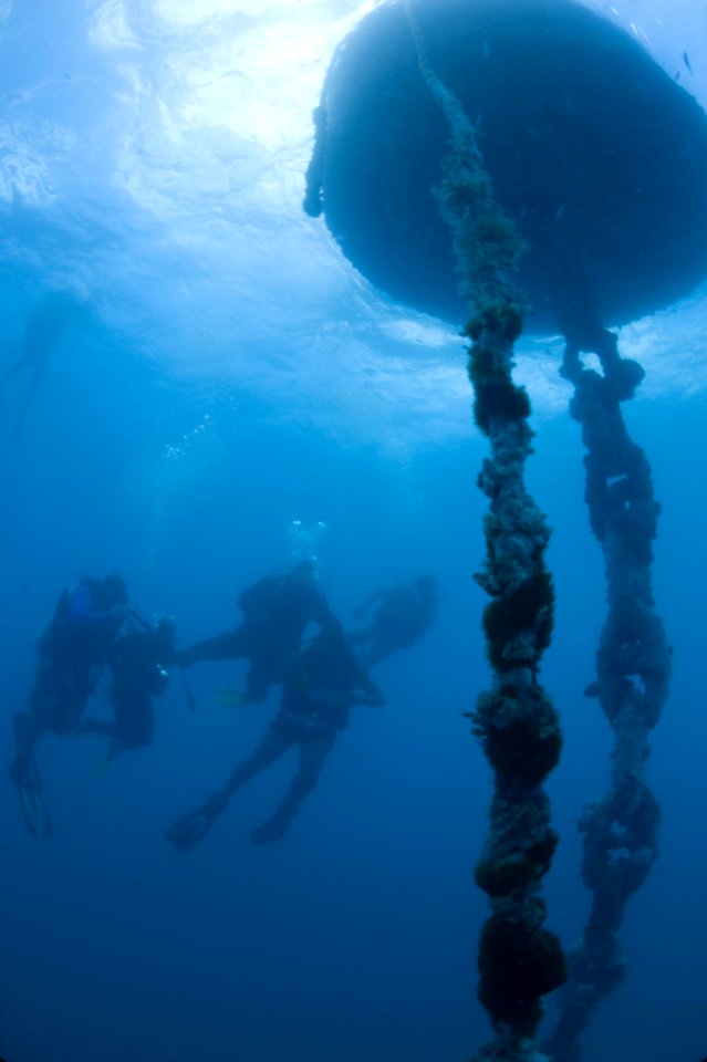 US Navy 100614-N-1134L-034 Navy Diver 2nd Class Jason Hatch, Mobile Diving and Salvage Unit (MDSU) Two, company 2-6, and Regional Security Service divers conduct a visual inspection of a mooring buoy