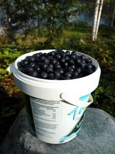 Summer vitamin a finnish