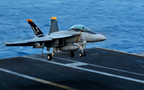 US Navy 100623-N-3595W-001 An F-A-18F Super Hornet assigned to the Pukin' Dogs of Strike Fighter Squadron (VFA) 143 lands aboard the aircraft carrier USS Dwight D. Eisenhower (CVN 69)