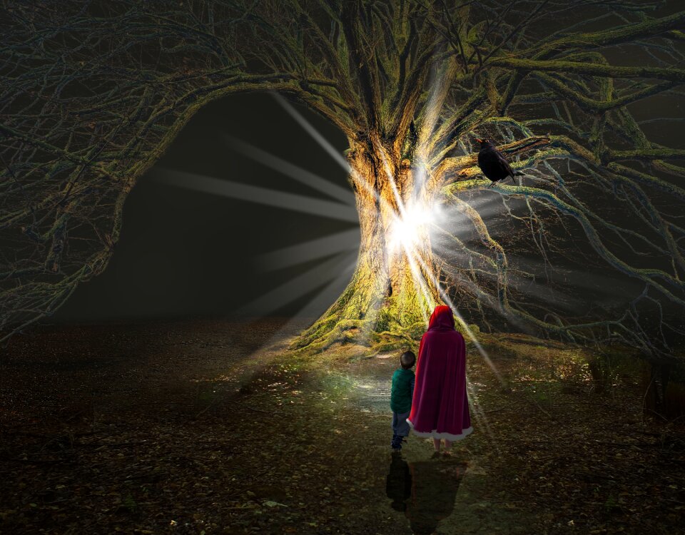 Outdoors tree magic