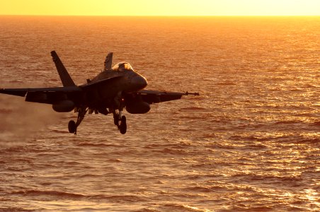 US Navy 100708-N-3659B-075 An F-A-18C Hornet prepares to make an arrested landing aboard USS Ronald Reagan (CVN 76)