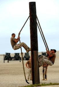 US Navy 100708-N-0775Y-007 Sailors assigned to Fleet Combat Camera Group Pacific, climb ropes as part of the obstacle course at the Naval Special Warfare Center in Coronado, Calif photo