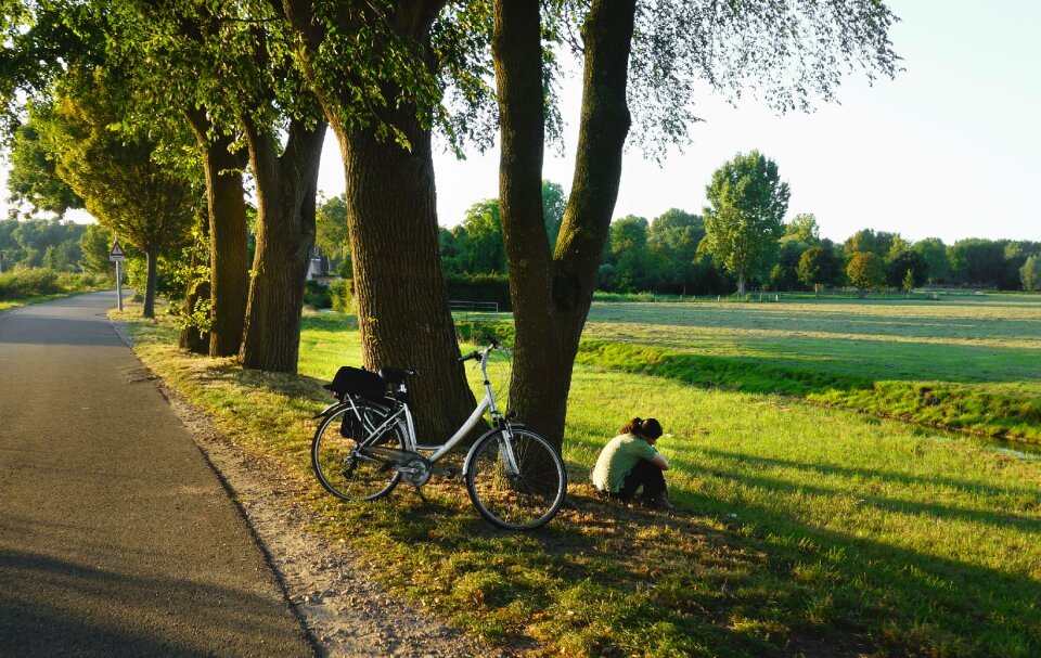 Landscape rural relaxing