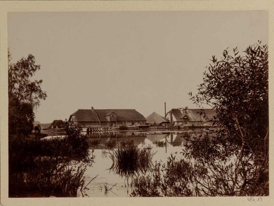 Usielub, Plisa. Уселюб, Пліса (T. Boretti, 1900) (4)