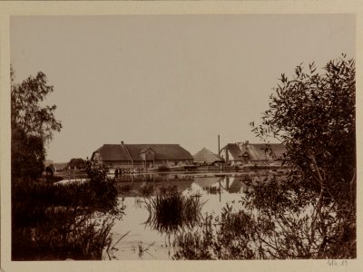 Usielub, Plisa. Уселюб, Пліса (T. Boretti, 1900) (4)