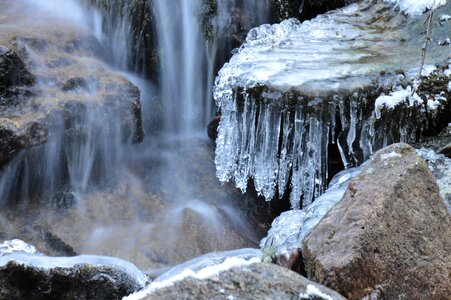 Bach nature river