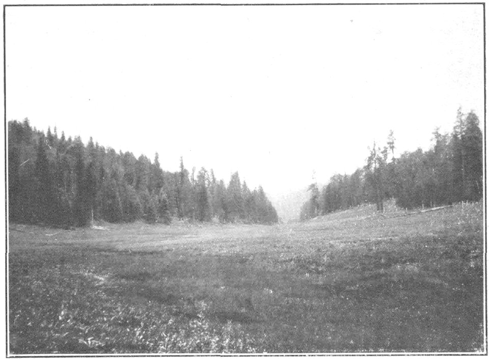 USGS Bulletin787 Plate13 FigureB Head of Turkey Creek, Mogollon Range