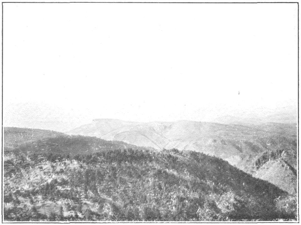 USGS Bulletin787 Plate14 FigureB northern part of Mogollon District