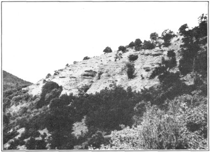 USGS Bulletin787 Plate8 FigureB Dog Gulch Conglomerate