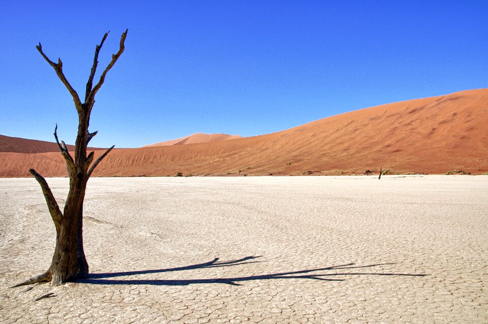 Desert shadow sesriem