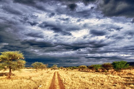 Namibia sunset otjitongwe lodge