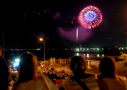 US Navy 100807-N-2218S-256 Visitors at Fleet Activities Yokosuka watch the fireworks finale during the 34th Friendship Day celebration
