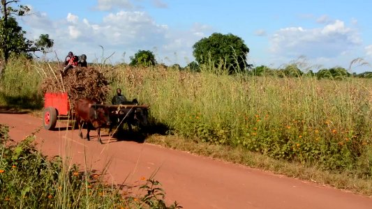 USAID-funded nutrition project to the people of Malawi (28382787943)