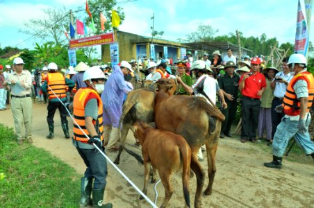 USAID, Red Cross Support Disaster Response Drill in Duy Hoa Commune, Quang Nam Province (8248512967)
