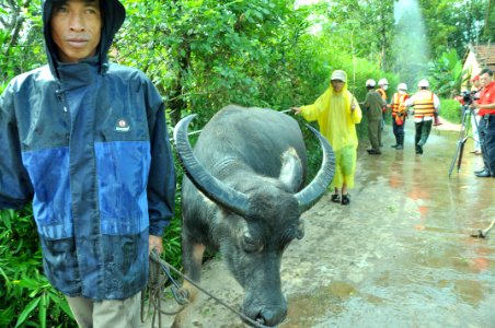 USAID, Red Cross Support Disaster Response Drill in Duy Hoa Commune, Quang Nam Province (8248526951)